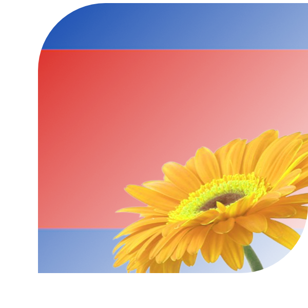 Bloemen Bezorgen Sappemeer