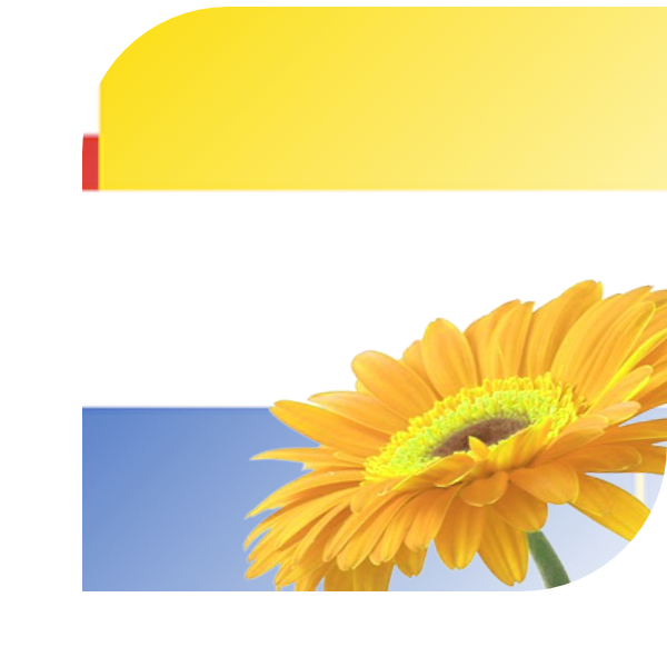 Bloemen bezorgen Goirle