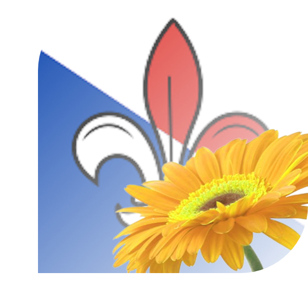 Bloemen bezorgen Bornwird