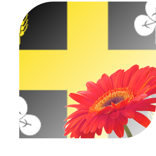 Bloemen bezorgen Raalte
