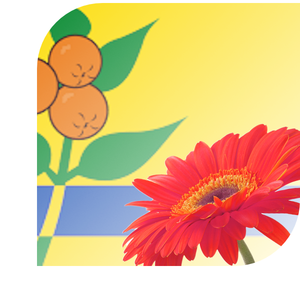 Bloemen Bezorgen Oranjewoud