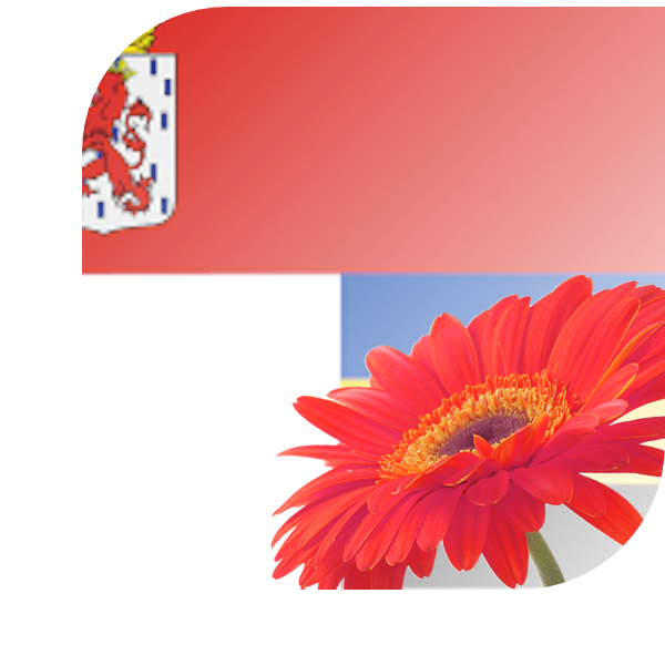 Bloemen bezorgen Echteld