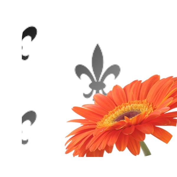 Bloemen Bezorgen Puttershoek