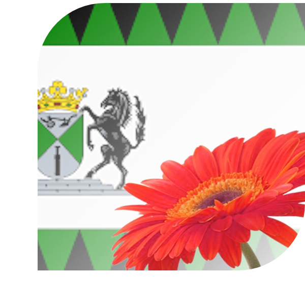 Bloemen bezorgen Emmen