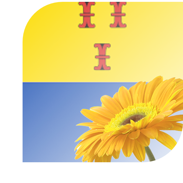 Bloemen bezorgen Barneveld
