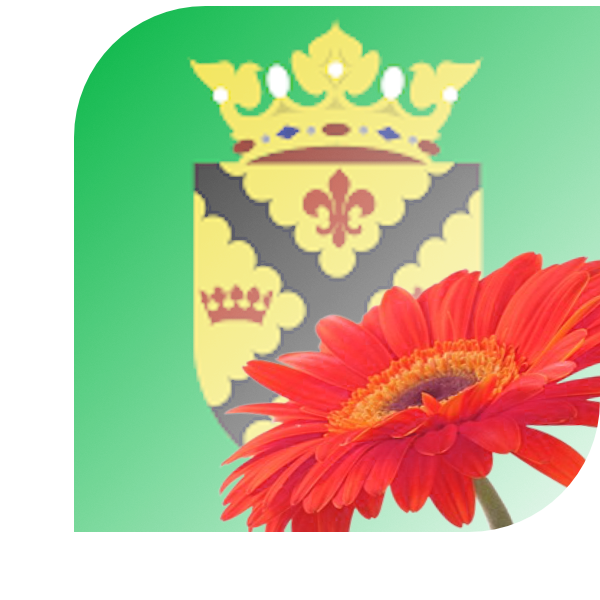 Bloemen Bezorgen Hoogland