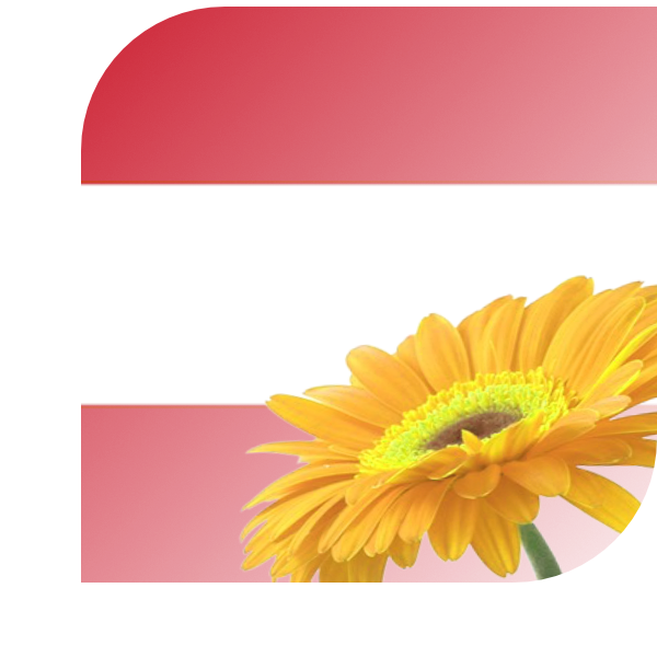Bloemen Bezorgen Hoorn
