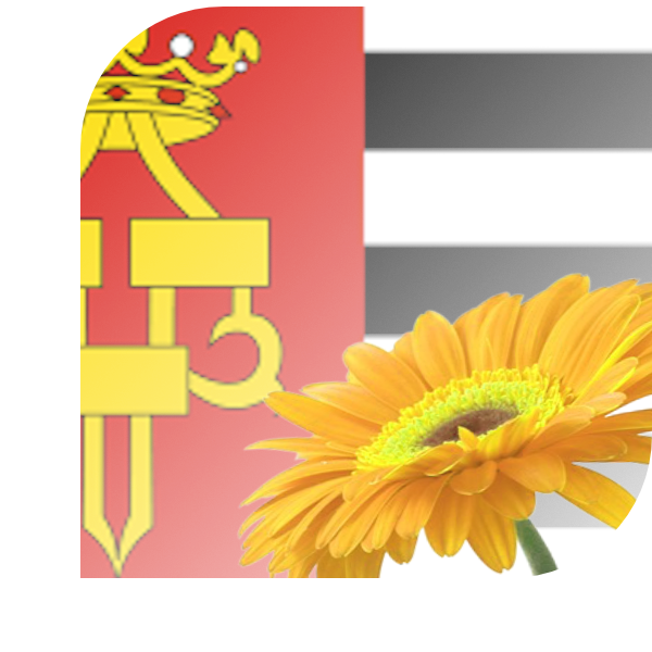 Bloemen bezorgen Drachten