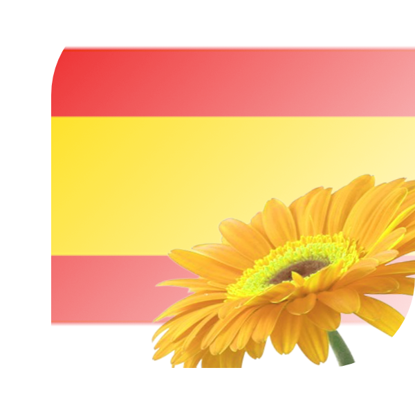 Bloemen Bezorgen Lemmer