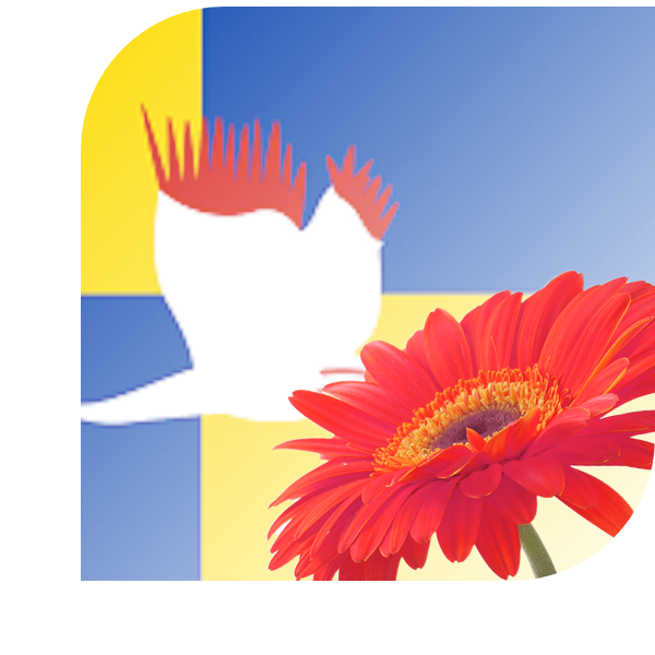 Bloemen Bezorgen Maarheeze