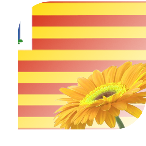 Bloemen bezorgen Enkhuizen