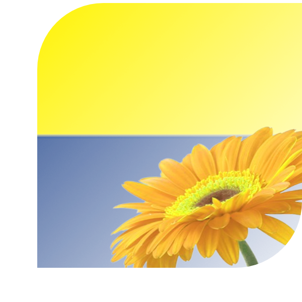 Bloemen bezorgen Epe