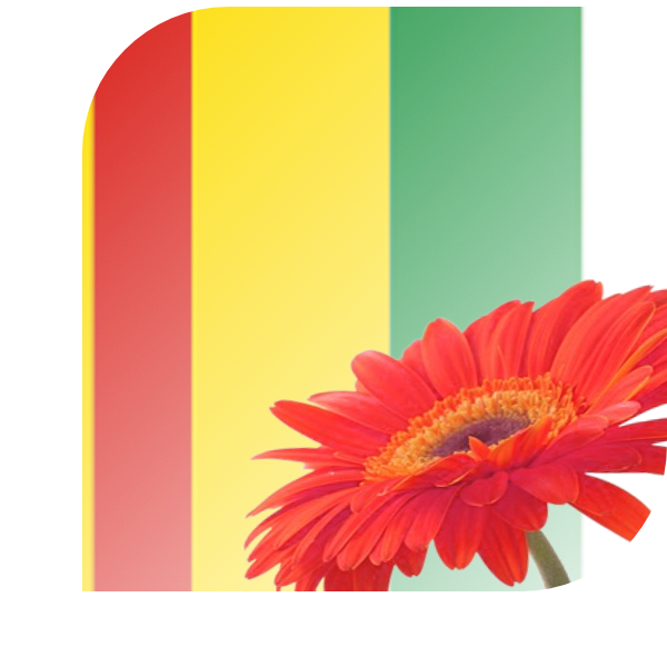Bloemen bezorgen Fijnaart