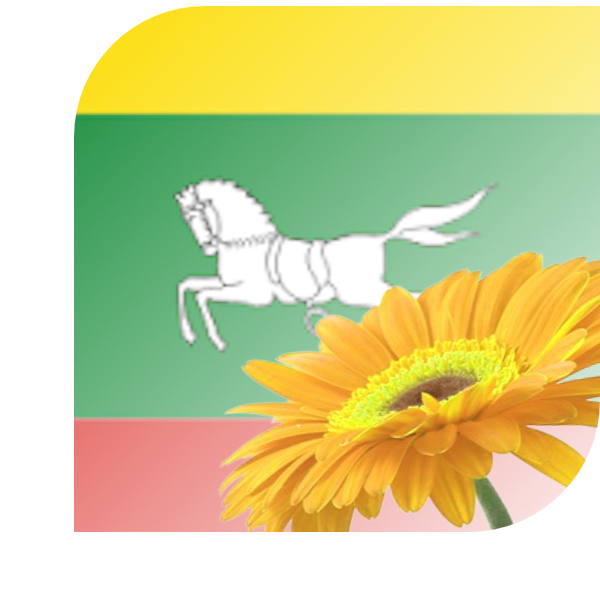 Bloemen bezorgen Zuidlaren