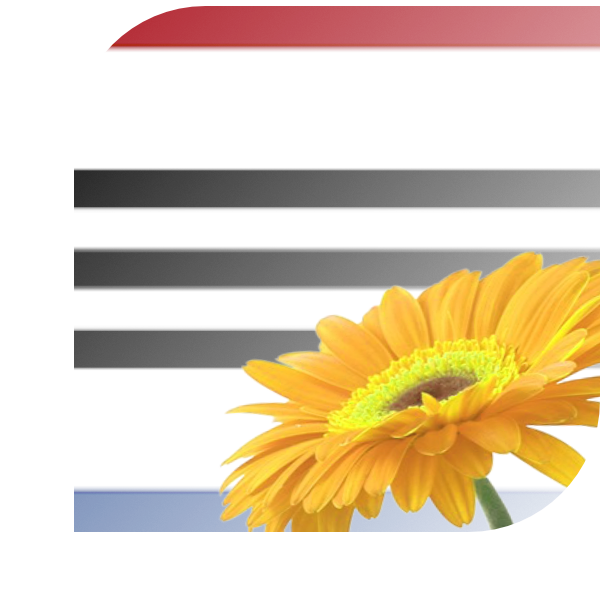 Bloemen bezorgen Zaamslag