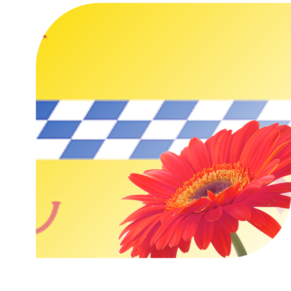 Bloemen bezorgen Woerden