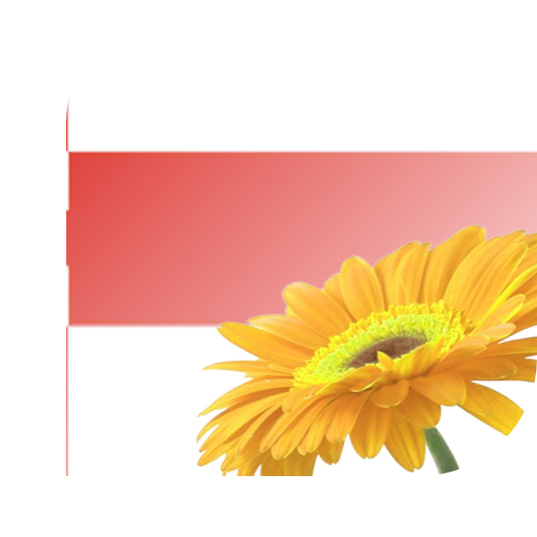Bloemen bezorgen Amersfoort