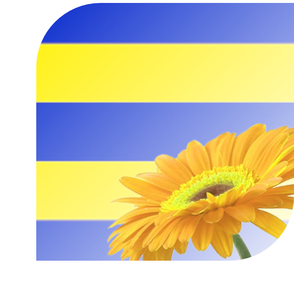 Bloemen Bezorgen Oostkapelle