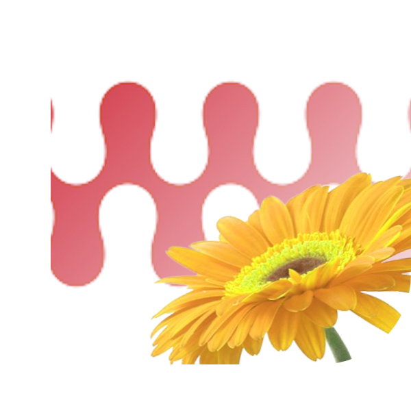 Bloemen bezorgen Groesbeek