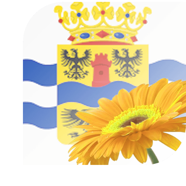 Bloemen bezorgen Arnemuiden