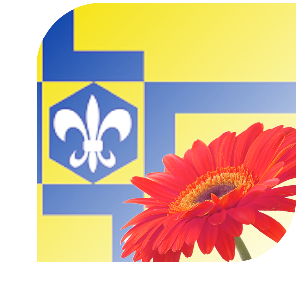 Bloemen bezorgen Lelystad