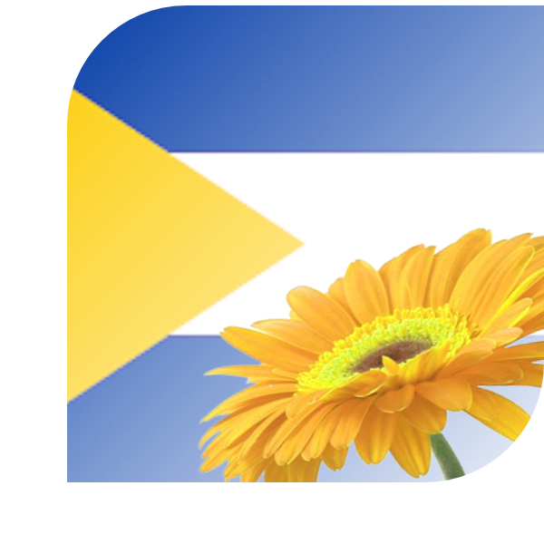 Bloemen bezorgen Muiden