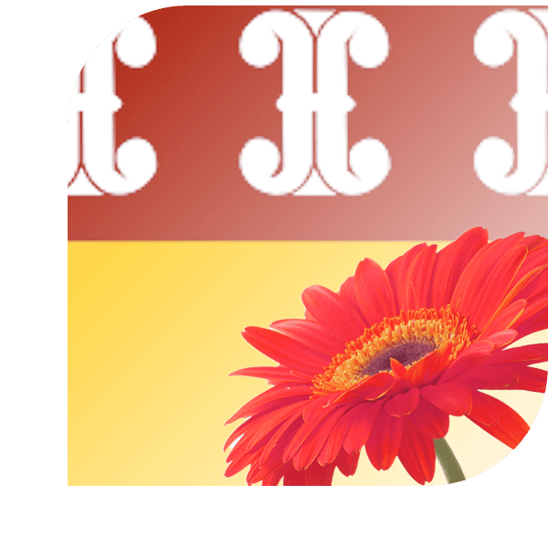 Bloemen bezorgen wijk bij duurstede