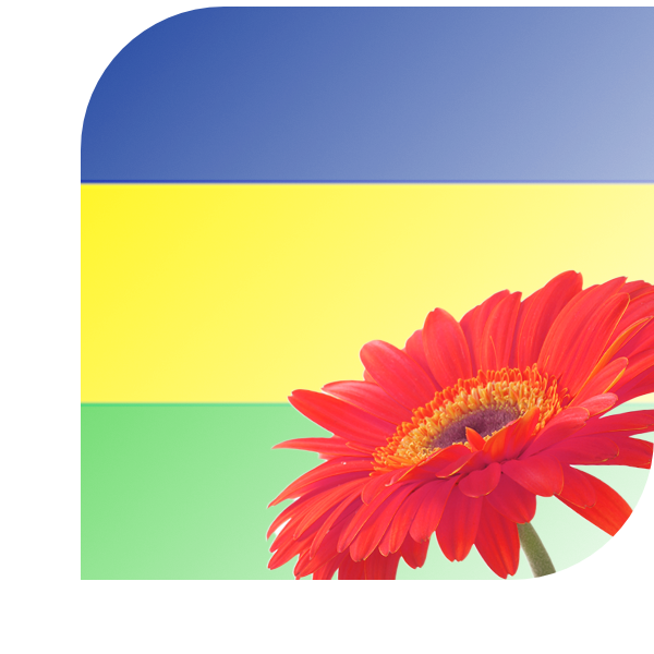 Bloemen bezorgen Denekamp