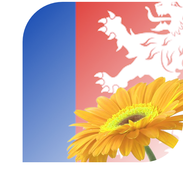 Bloemen bezorgen Heenvliet