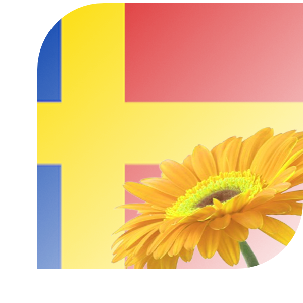 Bloemen bezorgen Weerselo