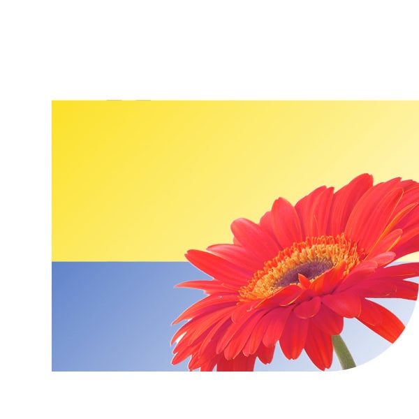 Bloemen bezorgen Dodewaard