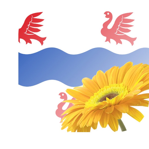 Bloemen bezorgen IJsselmuiden