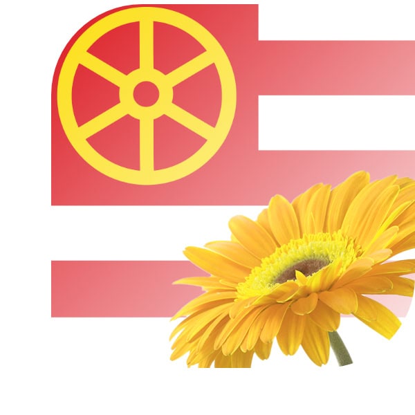 Bloemen bezorgen Doorn