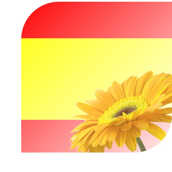 Bloemen bezorgen Leersum