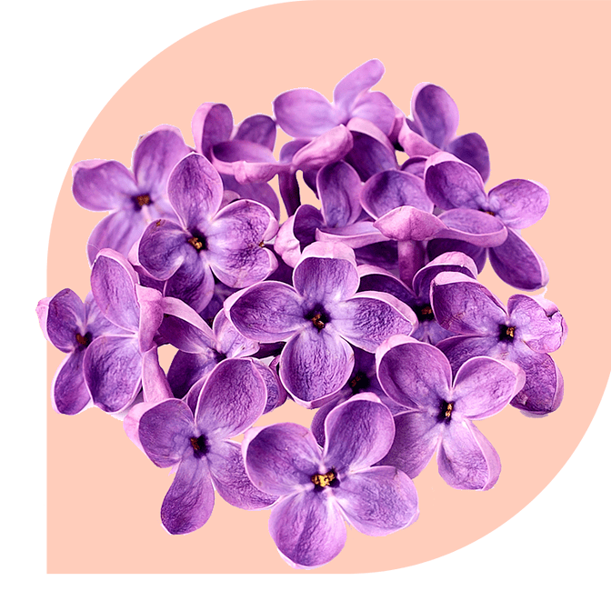 Bloemen bezorgen Sexbierum