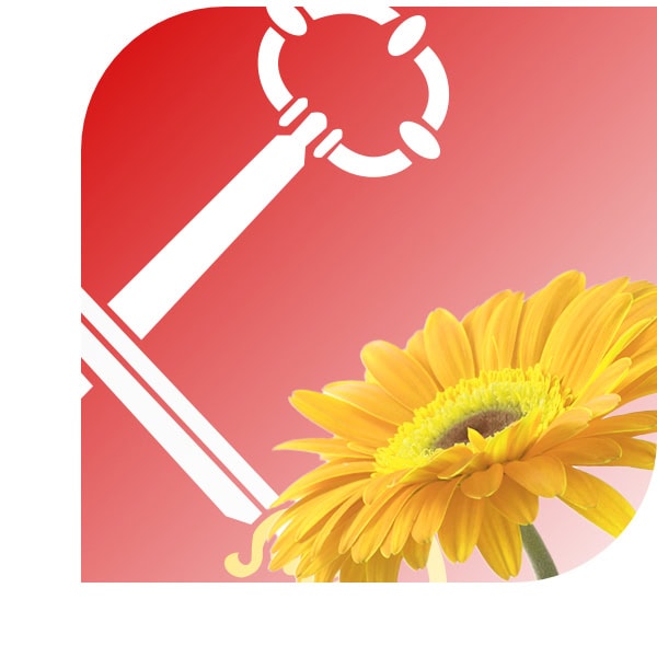 Bloemen bezorgen Loppersum